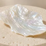 Close-up texture of Mother of Pearl raw stone