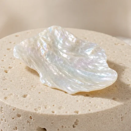 Mother of Pearl raw stone on travertine